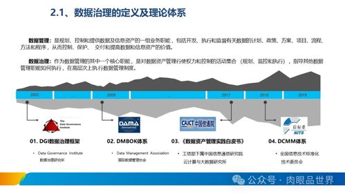 XX集團(tuán)數(shù)據(jù)治理體系建設(shè)方案 數(shù)據(jù)處理服務(wù)專項(xiàng)規(guī)劃